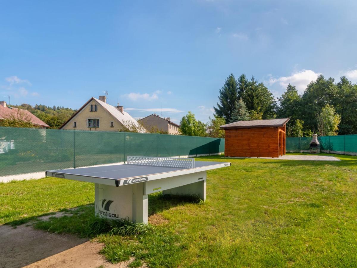 Holiday Home Iva - Ovh100 By Interhome Olesnice v Orlickych horach Екстер'єр фото